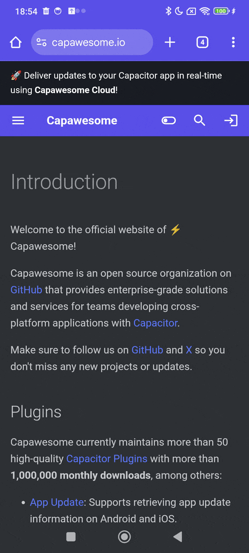 Web Demo