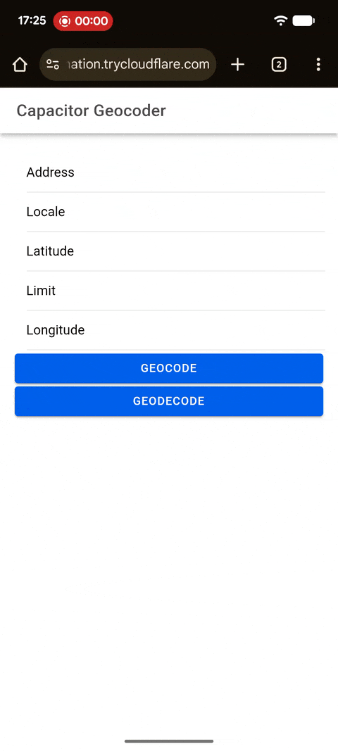 Web Demo