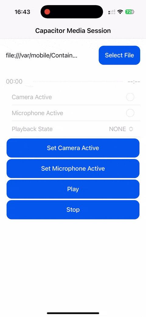 iOS Demo