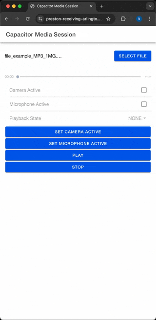 Web Demo